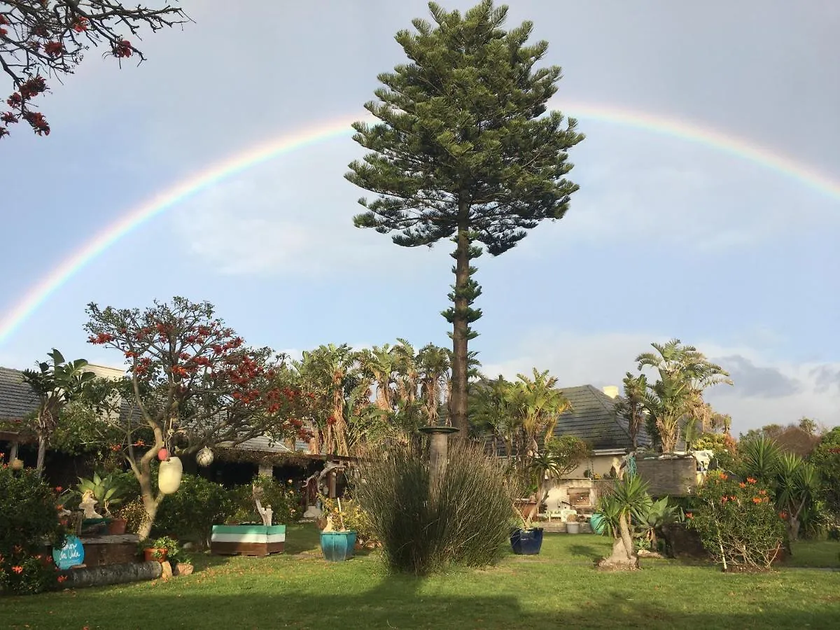 Amor Da Vida Guest House Port Elizabeth South Africa