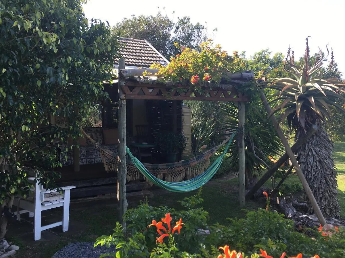 Amor Da Vida Guest House Port Elizabeth South Africa